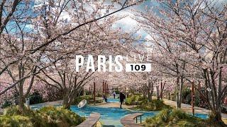 Blossoms & Buttresses in Vincennes - Paris Live #109