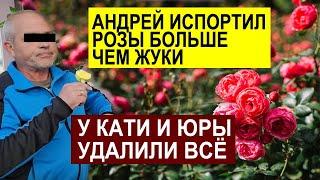В АРЕНДУ ИЛИ КУПИЛ КВАРТИРА