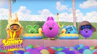 SUNNY BUNNIES - Colorful Swimming Pool | Season 7 | Cartoons for Kids