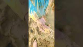 Found a Blue Sapphire Near the Lake – Worth Thousands?" #yputubeshorts #bluesapphire #agates
