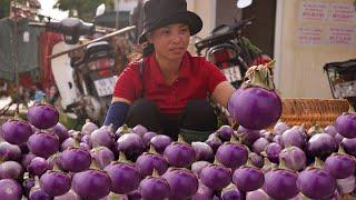 Harvesting eggplant garden Goes to the market to sell | Lý Thị Anh