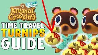  Don’t miss out this weekend! How to Make Money Time Traveling in Animal Crossing