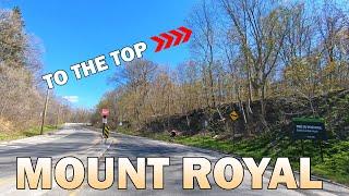 Mount Royal Driving Tour | Montreal Canada Drive Tour 2020