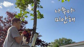 혼자서 나무 자르는 방법 How to cut trees by myself