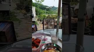 세컨하우스 아침식사 호떡 방울토마토