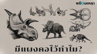 ไดโนเสาร์มีกระดูกแผงคอไว้ทำไม?