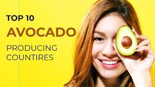 Top Ten Avocado Producing Countries