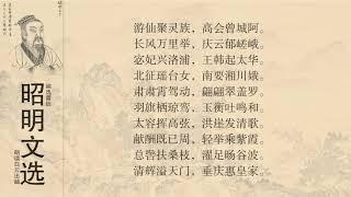 昭明文选 陆机 乐府十七首16前缓声歌