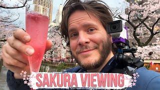 The Real Japanese Sakura Viewing Experience