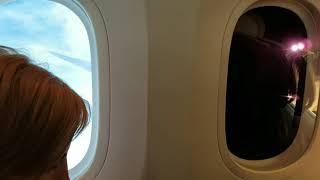 Как затемнить окно в самолёте // How to make the window in aircraft more darker