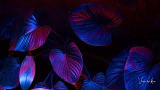 Farhan Van Adel - Dark Rave Tek