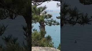 #배아현 #그대여 변치마오 #울산 #대왕암공원