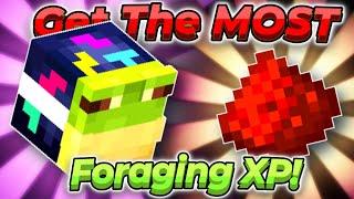 What Is The Best Foraging XP Method?? | Hypixel SkyBlock Complete Guide