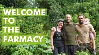 Welcome to the FARMacy! Healing Earth and Humanity through Herbal Medicine