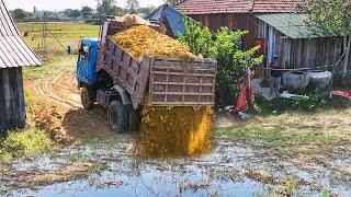 The project simple But interesting Filling Up The Land  use Dozer mini  Pushing Soil Into the field.