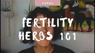 Fertility Herbs 101 - How to Get Started with Fertility Herbs