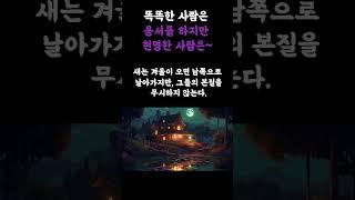 똑똑한 사람은 용서를 하지만~. 철학의정원!