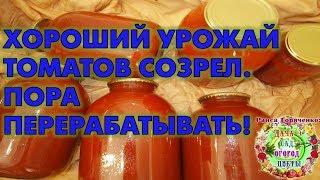 Хороший урожай томатов созрел. Пора перерабатывать!