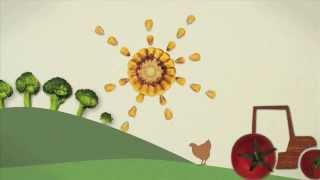 Winner: RSA / Nominet Trust Short Film Competition: Food Rules for Healthy People and Planet