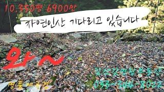 누구나 부담없이 살수있는 싸고큰 자연인산 손으로떠먹는계곡접 초강추 033-344-8022 매번50114