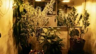 fl STUDIO 10 BEATS BY dj KRZYCHO hip - hop