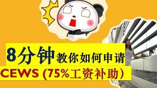 详细了解如何申请加拿大紧急工资补助CEWS （只要8分钟！！!）75%工资补助|HOW TO APPLY CANADA EMERGENCY WAGE SUBSIDY|程序员妹子频道