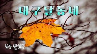 [대구도심속] 북구 칠성동 달동네 지금의 모습 (2024년9월4일)