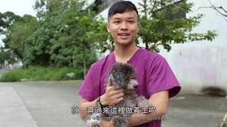 ARC亞洲非牟利動物救援 pet adoption 香港動物領養中心