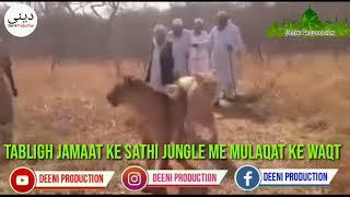 Tabligh Jamaat Wale Jungle Me Sher Ke Sath Mulaqat Ke Waqt Whatsapp Status Tablighi Jamaat