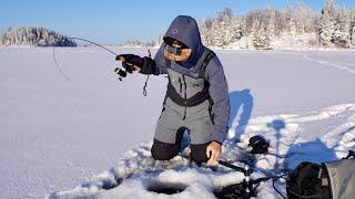 Auf der Jagd nach Zandern im frühen Eis!