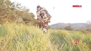 Kingsview Safaris, Eastern Cape - Hunting Giraffe with a Bow