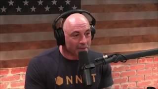 Discussion between Brendan Schaub and Joe Rogan about the grappling in Phuket