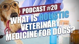 TOP #20: What is Holistic Veterinary Medicine for Dogs?