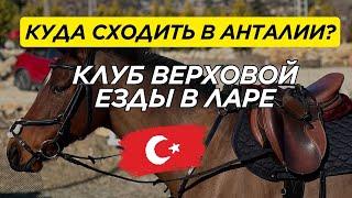 Клуб верховой езды в Анталии | Турция | Недвижимость | Переезд | Гражданство Турции