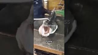 Why Japanese Fish Taste Better‼️