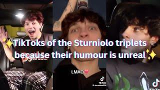 TikToks of the Sturniolo triplets because their humour is unreal