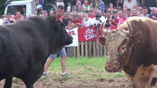  #Najbolji #najjaci  RISONJA vl. Mesnica Blasko - ODZABA vl. Esad Musija - Polje-Busovaca 02.07.'23