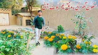 Sakoon Ghar Ki Ronaq loat Aye | Punjab Village lifestyle | Shoaib Maharzada