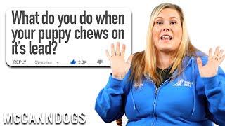 Professional Dog Trainer Answers Puppy Biting & Chewing Questions