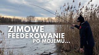 Moje zimowe feederowanie