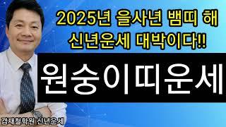 원숭이띠 신년운세 2025년 을사년 뱀띠해 / 원숭이띠운세  총정리 / 92년생 80년생 68년생 56년생 44년생  전화상담 및 방문상담 051-805-4999