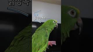별이가 아빠에게 던진 한마디???? 뭐라고??? 대충 눈치 채셨겠죠!!!!정답은 이번주 금요일에 ~~