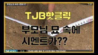 [TJB뉴스]부모님 묘 속에 콘크리트 덩어리가