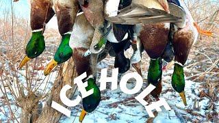 Breaking ICE for DUCKS | Ice Hole | Public Land Duck Hunting