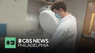 Princeton University announces hiring freeze amid uncertainty over federal funding | Top stories