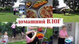 VLOG: ЖИЗНЬ в ГЕРМАНИИ! Собираем смородину/ Лайфхак с вилкойвкусный завтрак 