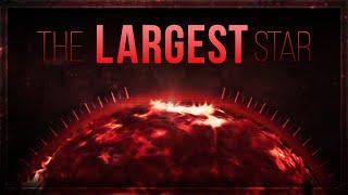 The Largest Star (Stephenson 2-18)