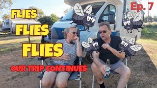 FLIES FLIES & MORE FLIES (Ep  7)