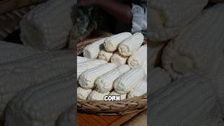 Strange colourless corn