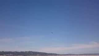 Seafair 2015 - F-22 Close Flyby 4K